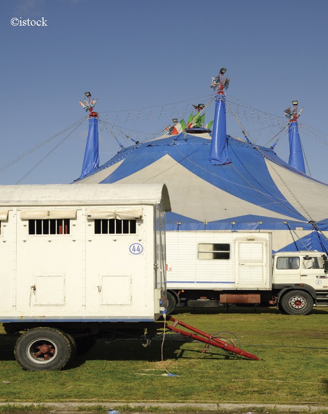 Les Cirques En Tournée Comment ça Marche Profession Spectacle Le Mag