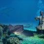 musique violoncelle eau mer requin