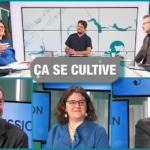 théâtre et handicap Ça se cultive